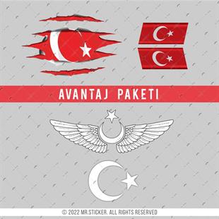 RFHLMBDL4 Reflektif Ay Yildiz Seti