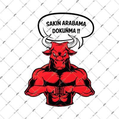 WRN28 Arabama Dokunma Kizgin Boga Etiketi