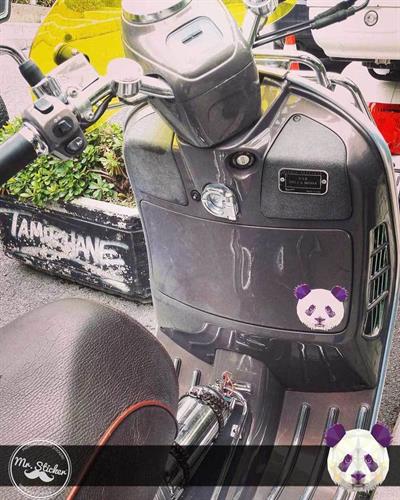 AN13- Triangle Tasarim Panda Etiketi