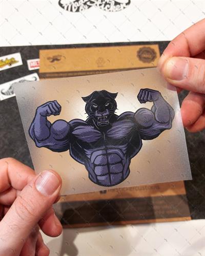 AN17 Kasli Jaguar Etiketi