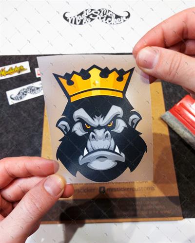 AN22 Kral Kong Etiketi