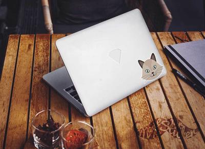 ANCT13- Birman Kedi Etiketi