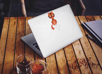 ANCT14- Sarman Kedi Etiketi