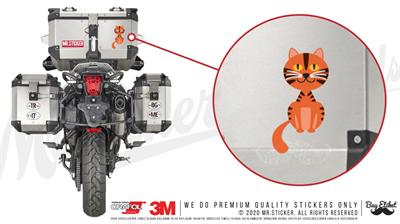 ANCT14- Sarman Kedi Etiketi