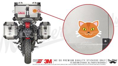 ANCT16- Sari Kedi Etiketi