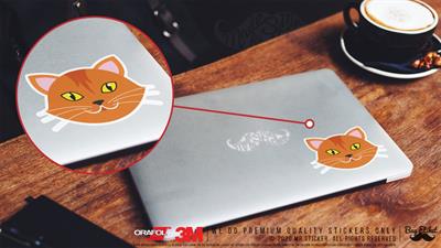 ANCT16- Sari Kedi Etiketi