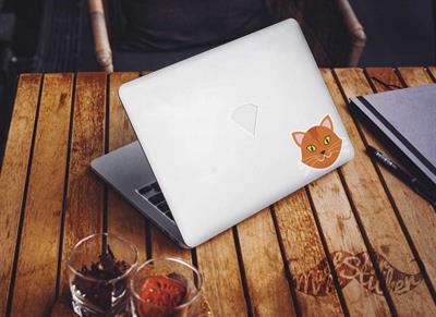 ANCT16- Sari Kedi Etiketi