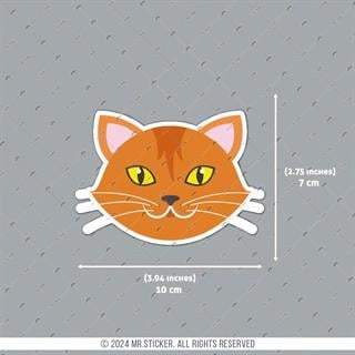 ANCT16- Sari Kedi Etiketi