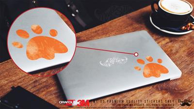 ANCT2- Kedi Patisi Etiketi