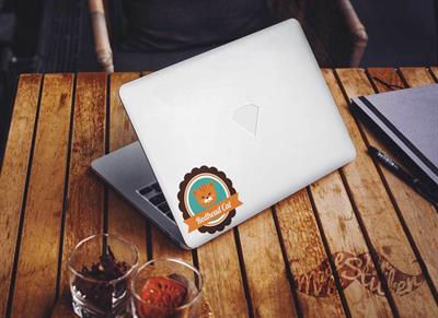 ANCT25- Kedi Etiketi