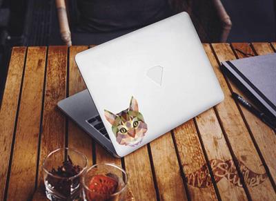 ANCT29- Triangle Tasarim Kedi Etiketi