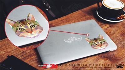 ANCT29- Triangle Tasarim Kedi Etiketi