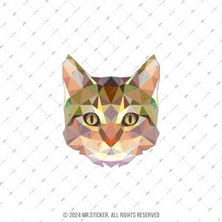 ANCT29- Triangle Tasarim Kedi Etiketi