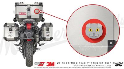 ANCT3- Scottish Fold Kedi Etiketi