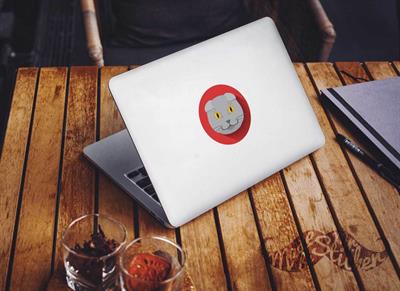 ANCT3- Scottish Fold Kedi Etiketi