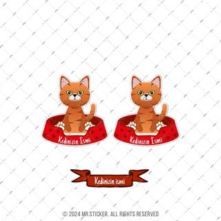 ANCT31 Sari Tekir Kedi Etiketi Seti - Kedinizin Ismine Ozel