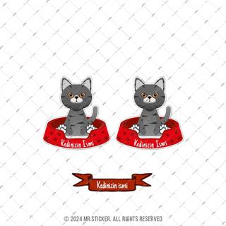 ANCT32 Gri Tekir Kedi Etiketi Seti - Kedinizin Ismine Ozel