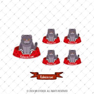 ANCT33 British Fold Kedi Etiketi Seti - Kedinizin Ismine Ozel