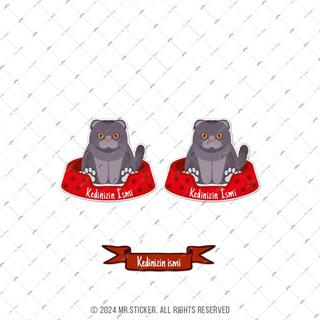 ANCT33 British Fold Kedi Etiketi Seti - Kedinizin Ismine Ozel