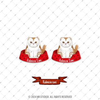 ANCT34 Scottish Fold Kedi Etiketi Seti - Kedinizin Ismine Ozel