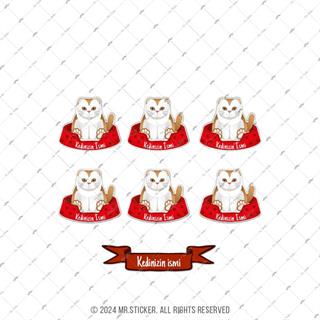 ANCT34 Scottish Fold Kedi Etiketi Seti - Kedinizin Ismine Ozel