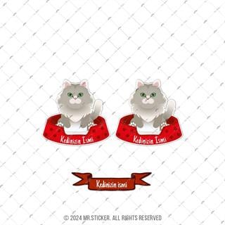 ANCT38 Norwegian Forest Kedi Etiketi Seti - Kedinizin Ismine Ozel