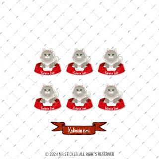 ANCT38 Norwegian Forest Kedi Etiketi Seti - Kedinizin Ismine Ozel