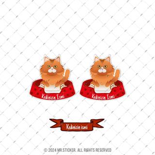 ANCT39 Maine Coon Kedi Etiketi Seti - Kedinizin Ismine Ozel