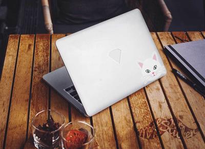 ANCT4- Beyaz Kedi Etiketi