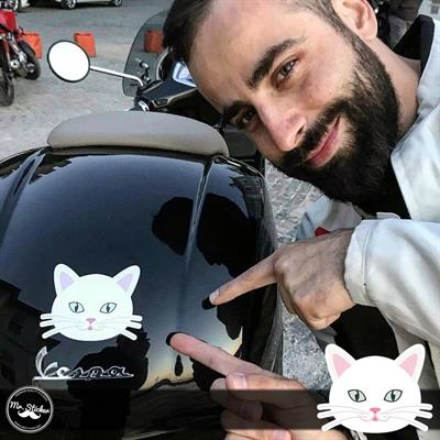 ANCT4- Beyaz Kedi Etiketi