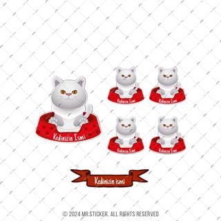 ANCT40 White British Kedi Etiketi Seti - Kedinizin Ismine Ozel