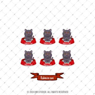 ANCT41 British Kedi Etiketi Seti - Kedinizin Ismine Ozel