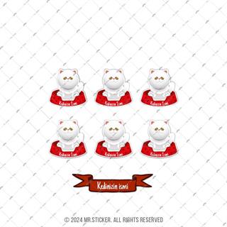 ANCT42 Exotic Shorthair Kedi Etiketi Seti - Kedinizin Ismine Ozel