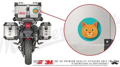 ANCT5- Sari Kedi Etiketi