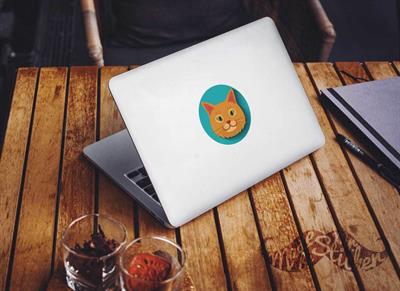 ANCT5- Sari Kedi Etiketi