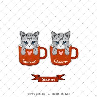 ANCT53 American Shorthair Kedi Etiketi Seti - Kedinizin Ismine Ozel