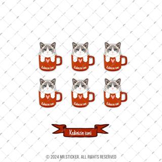 ANCT55 Ragdoll Kedi Etiketi Seti - Kedinizin Ismine Ozel