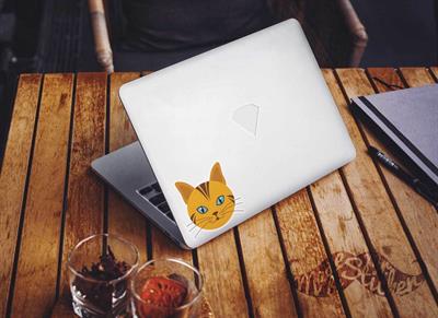 ANCT6- Sari Tekir Kedi Etiketi