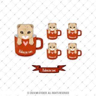 ANCT60 Scottish Fold Kedi Etiketi Seti - Kedinizin Ismine Ozel