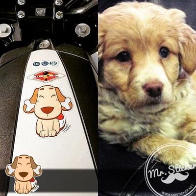 ANDG10- Sirin Kopek Etiketi