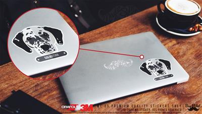 ANDG11- Dalmacyali Kopek Etiketi