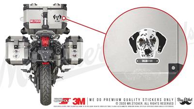 ANDG11- Dalmacyali Kopek Etiketi