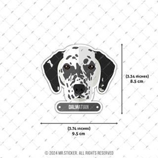 ANDG11- Dalmacyali Kopek Etiketi