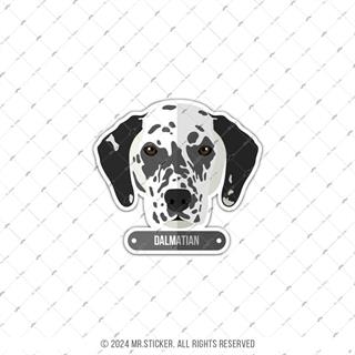 ANDG11- Dalmacyali Kopek Etiketi