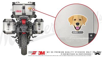 ANDG16- Golden Retriever Kopek Etiketi