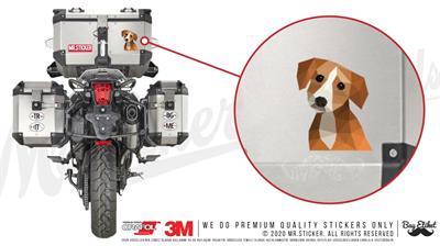 ANDG17- Polygonal Tasarim Kopek Etiketi