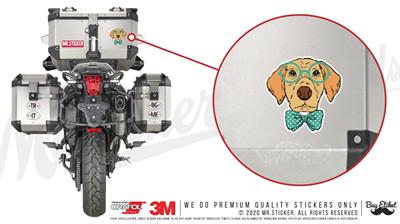 ANDG24- Akilli Kopek Etiketi