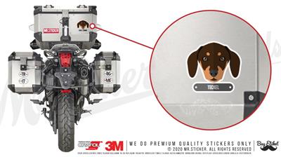 ANDG25-Teckel Kopek Etiketi