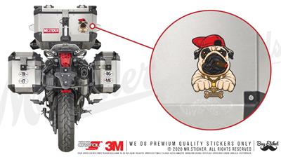 ANDG29 Rapci Pug Etiketi