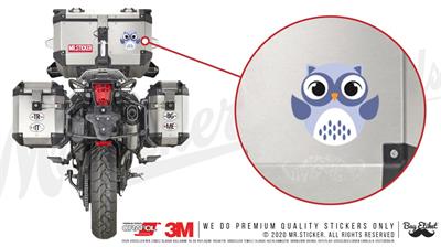 ANOW2- Mavi Gozluklu Baykus Etiketi
